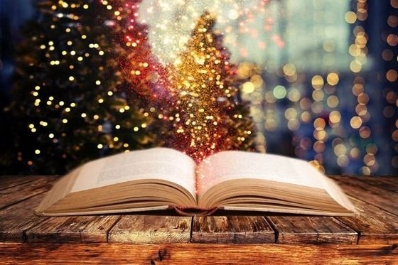 Χριστούγεννα στη... βιβλιοθήκη Διδυμοτείχου!