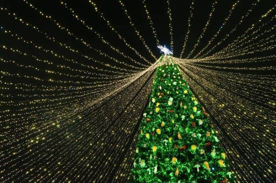 Το πρόγραμμα της φωταγώγησης των χριστουγεννιάτικων δέντρων στον Δήμο Ορεστιάδας