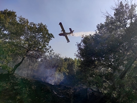 Παρατείνεται η καταληκτική ημερομηνία υποβολής υπεύθυνης δήλωσης ως προς την εκπλήρωση των υποχρεώσεων πυροπροστασίας.