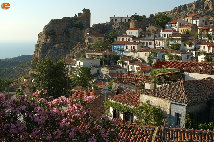 Εγκρίθηκε μελέτη για την αναδάσωση της Χώρας στη Σαμοθράκη