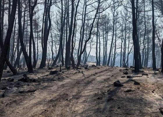 1.800.000 ευρώ προς το Δήμο Αλεξανδρούπολης για έργα αντιμετώπισης των πλημμυρικών φαινομένων και σχετικές μελέτες για περιοχές του Δήμου Αλεξανδρούπολης.