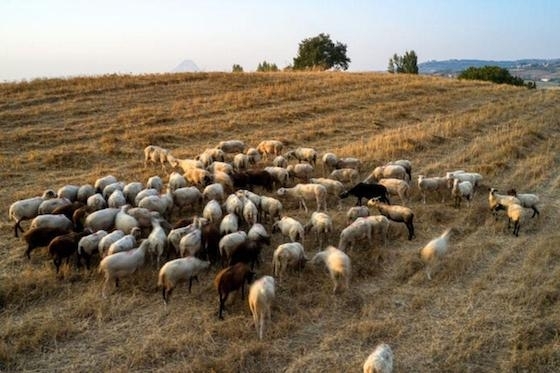 Η λειτουργία του Κέντρου Εξωτικών Νοσημάτων στη Νέα Ορεστιάδα επανέρχεται στο προσκήνιο.