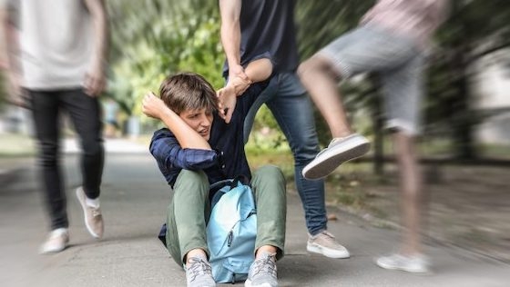 Το βιωματικό εργαστήριο αποσκοπεί στην ενεργοποίηση του διδακτικού προσωπικού για την πρόληψη και παρέμβαση σε φαινόμενα σχολικής βίας.