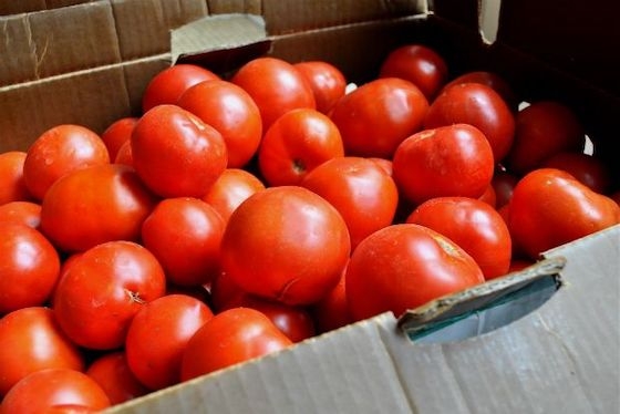 Εκτός ορίων φορτίο με τομάτες από Τουρκία εντοπίστηκε στους Κήπους.