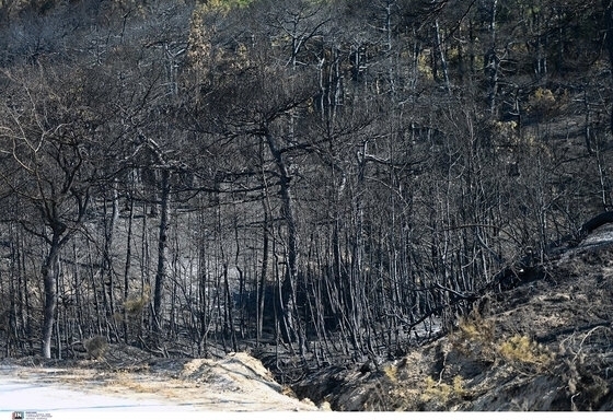 Με αφορμή τη μακρόχρονη παρουσία της οργάνωσης στην περιοχή, το WWF Ελλάς εκπόνησε δύο ολοκληρωμένες μελέτες.