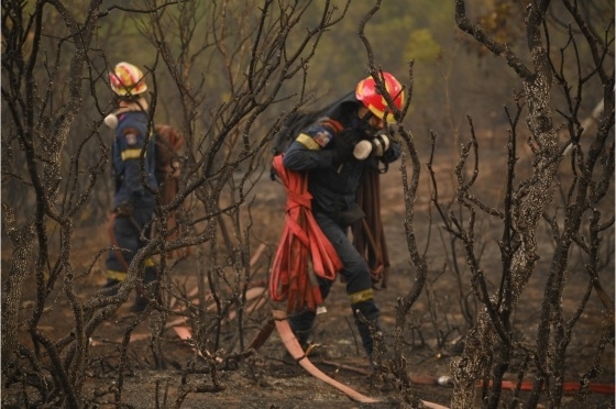 Φωτογραφία αρχείου από την καταστροφική πυρκαγιά του Έβρου (φωτ: Αλεξούδης Δημήτρης) Φωτογραφία αρχείου από την καταστροφική πυρκαγιά του Έβρου (φωτ: Αλεξούδης Δημήτρης)