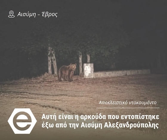 Αλεξανδρούπολη: Οδηγίες της Διεύθυνσης Δασών Έβρου με αφορμή την εμφάνιση καφέ αρκούδας Αλεξανδρούπολη: Οδηγίες της Διεύθυνσης Δασών Έβρου με αφορμή την εμφάνιση καφέ αρκούδας