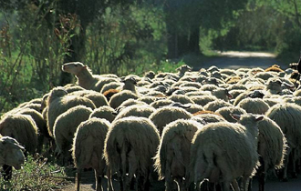 Πώς ξεκίνησε, πώς εξελίχθηκε αλλά και πώς έχει διαμορφωθεί η κατάσταση μέχρι σήμερα.
